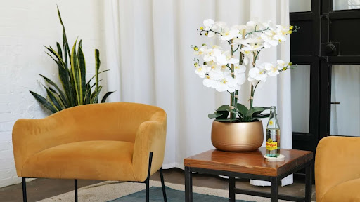 How to Choose Artificial Orchids: A Buyer's Guide