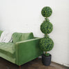 5ft Boxwood Topiary