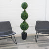 5ft Boxwood Topiary