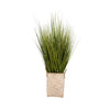 4ft Seagrass in Wicker Basket