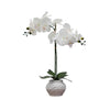 Desktop Artificial Orchid in Ceramic